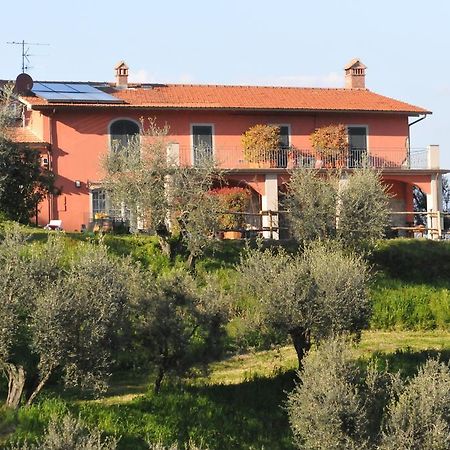 Cantagrillo Olivia B&B And Apartment מראה חיצוני תמונה