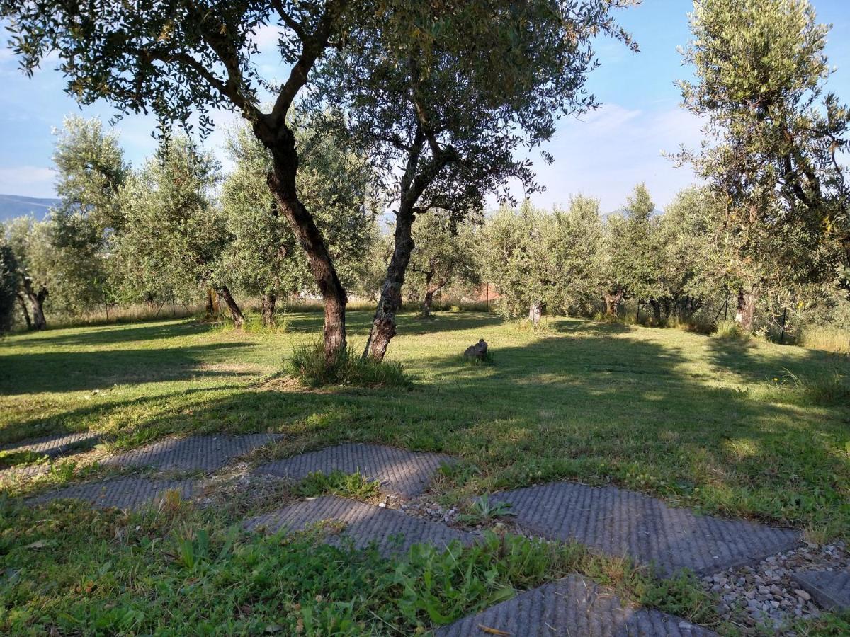 Cantagrillo Olivia B&B And Apartment מראה חיצוני תמונה