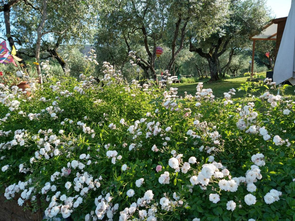 Cantagrillo Olivia B&B And Apartment מראה חיצוני תמונה
