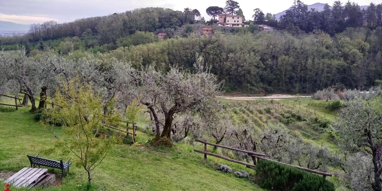 Cantagrillo Olivia B&B And Apartment מראה חיצוני תמונה